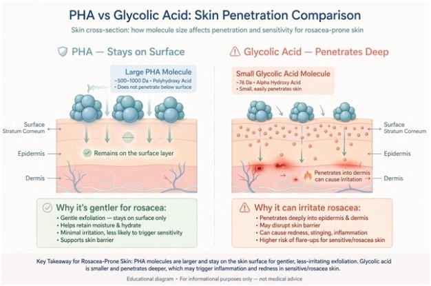 The Only 3 Chemical Exfoliants I Trust on My Rosacea